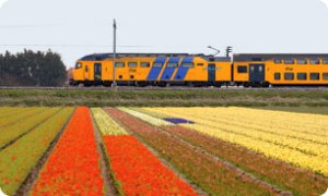 De Nederlandse Spoorwegen (Dutch Railways). 
